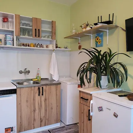 Keti улица христо максимов 56 вхв Apartment Sofia